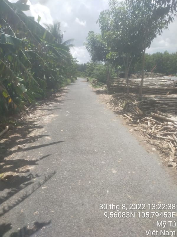 MT107 - Đường cống Lâm Trường - Ảnh 2