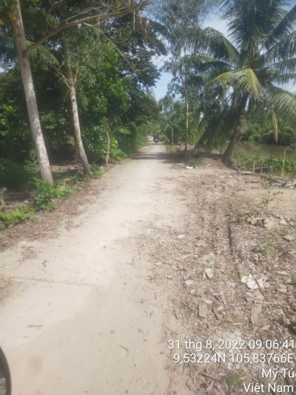 MT108 -	Lộ rạch Bố Thảo Bờ Tây - Ảnh 2