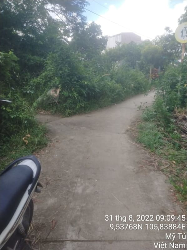 MT108 -	Lộ rạch Bố Thảo Bờ Tây - Ảnh 4