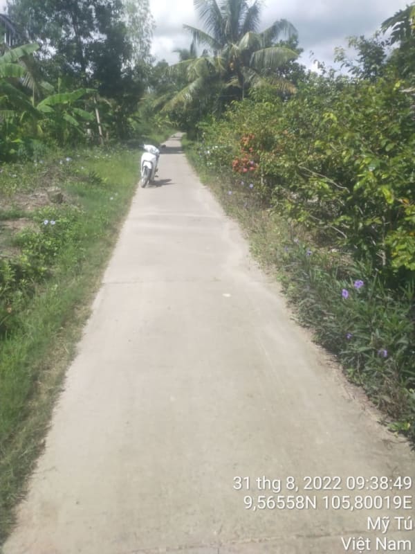 MT111	- Lộ Sơn Pich - Ảnh 1