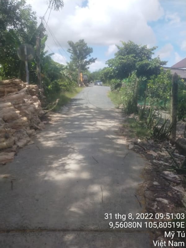 MT111	- Lộ Sơn Pich - Ảnh 3