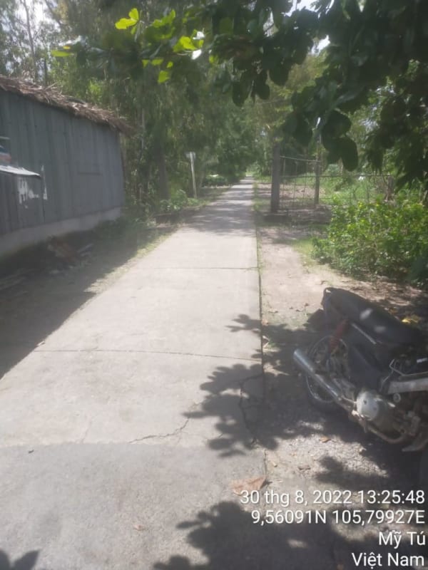 MT114 - Đường đal - Ảnh 1