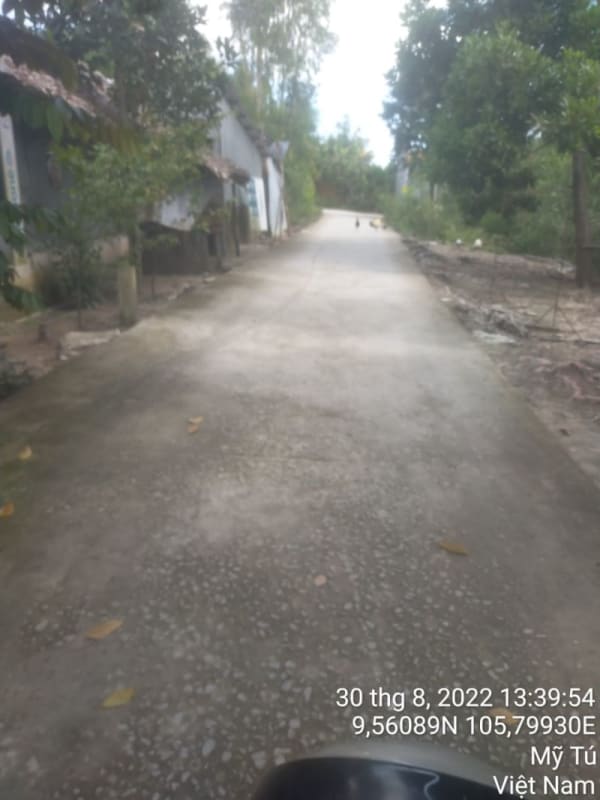 MT114 - Đường đal - Ảnh 2