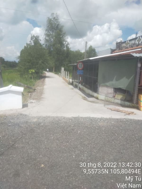 MT114 - Đường đal - Ảnh 3