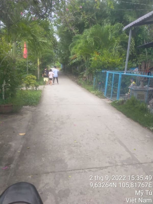 MT119 - Đường Huyện 88 - Ảnh 2