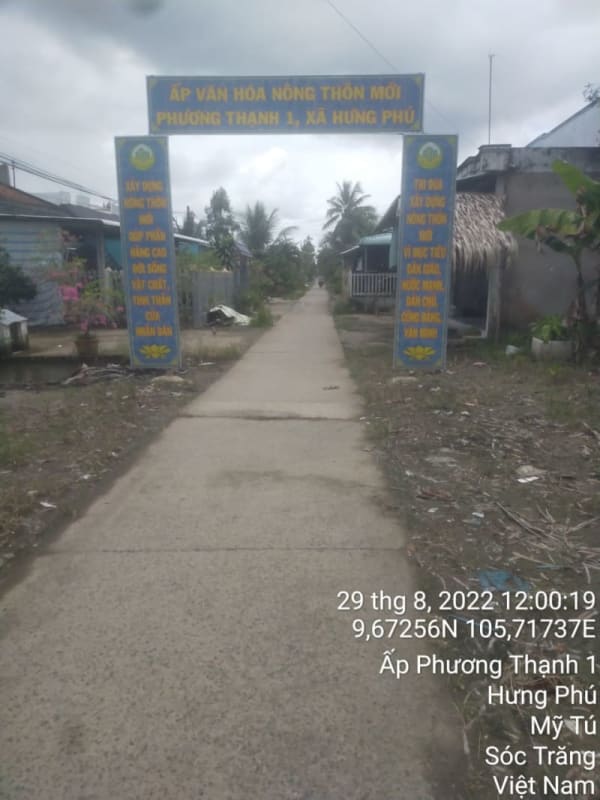 MT157 - Đường Huyện 87B - Ảnh 3