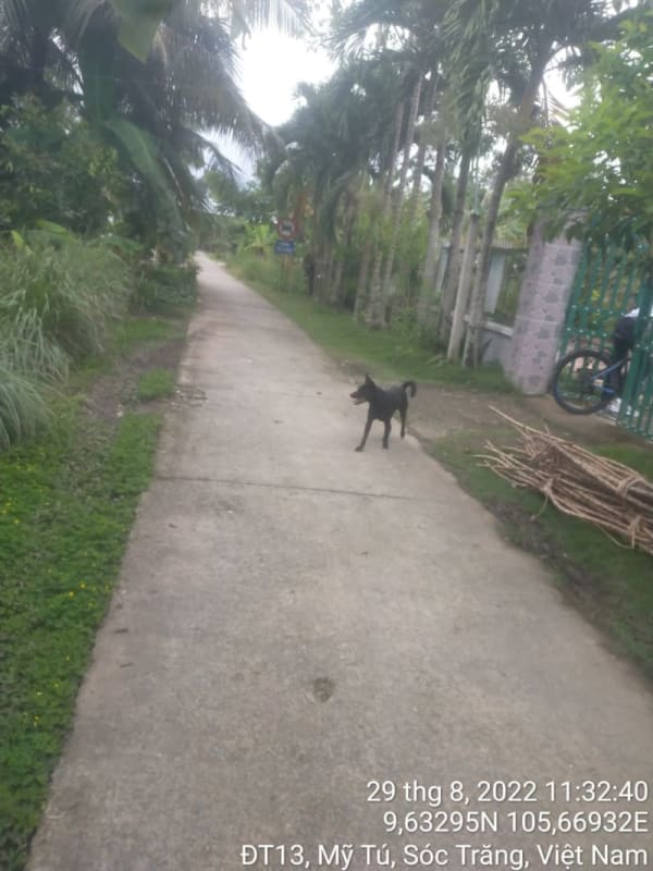 MT159 -  Đường Huyện 87B - Ảnh 3