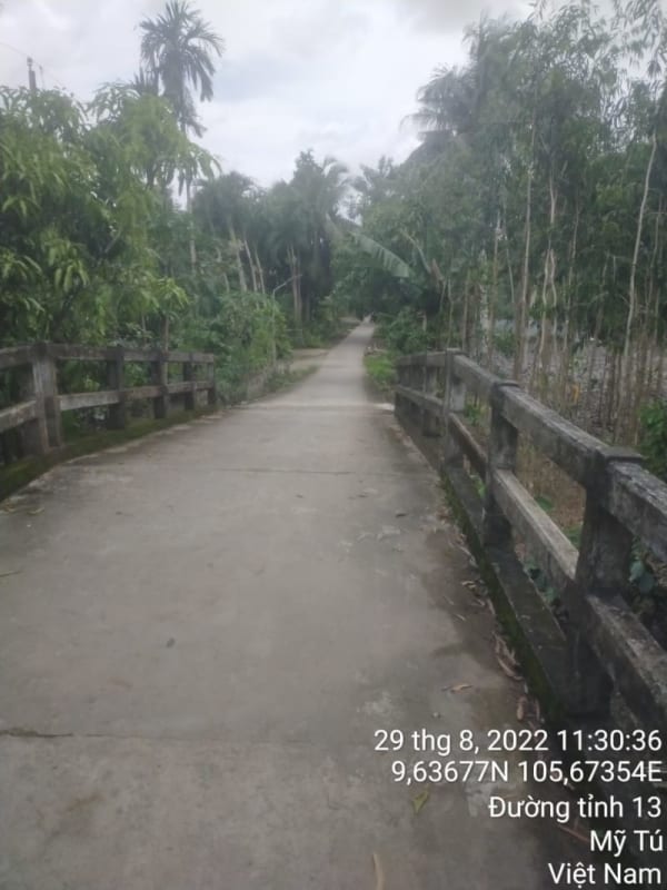 MT159 -  Đường Huyện 87B - Ảnh 4