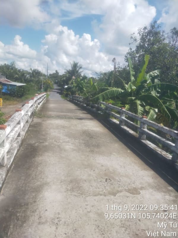 MT167 -Đường ô tô đến trung tâm xã (ĐH 81) - Ảnh 4