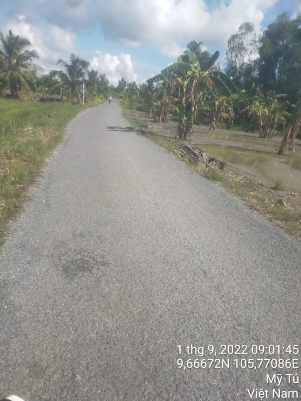 MT169	- Đường Huyện 86 - Ảnh 4