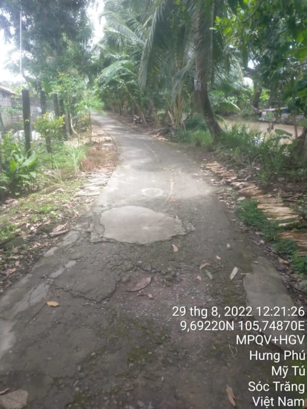 MT170	- Đường đal - Ảnh 1
