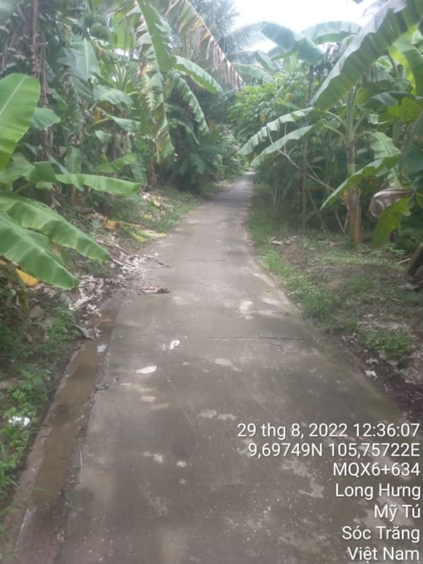 MT170	- Đường đal - Ảnh 3