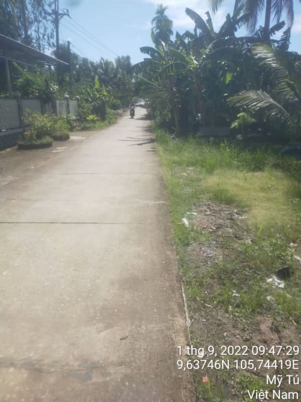 MT171-	Đường Huyện 84 - Ảnh 2