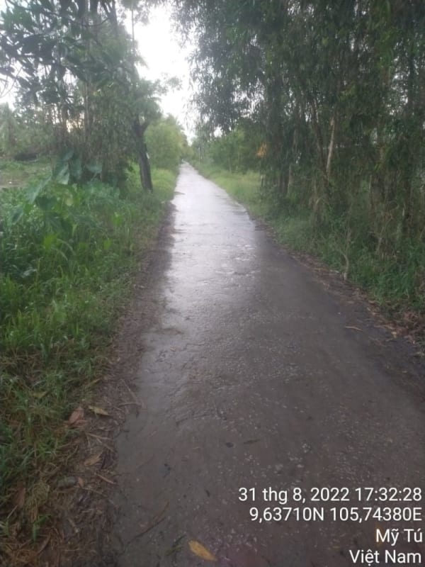 MT171-	Đường Huyện 84 - Ảnh 3