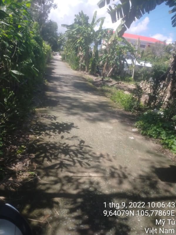 MT172 - Đường Huyện 86 - Ảnh 2