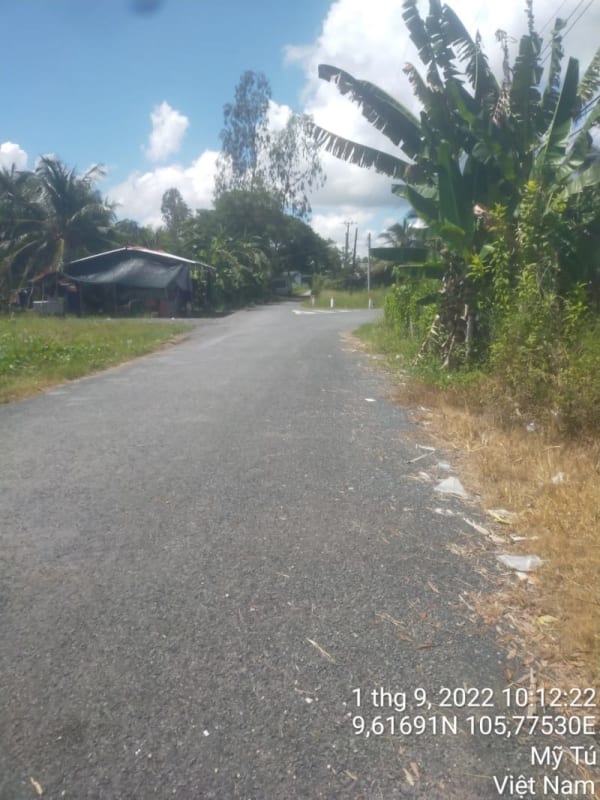 MT172 - Đường Huyện 86 - Ảnh 3
