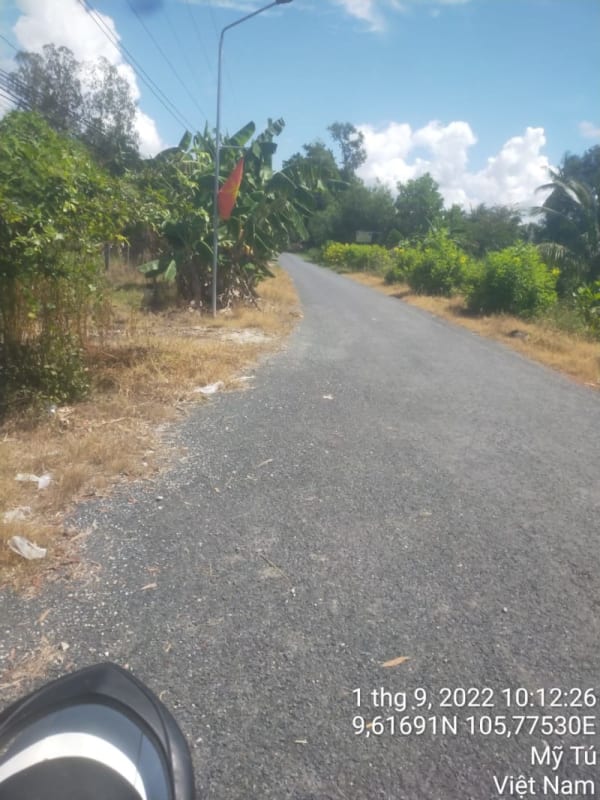 MT172 - Đường Huyện 86 - Ảnh 4