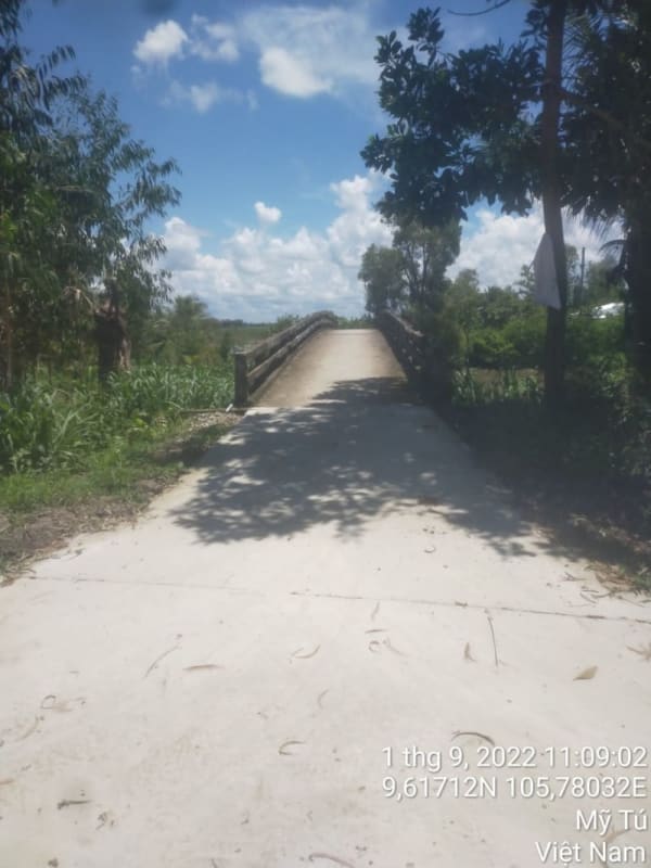MT180 - Đường đal - Ảnh 5
