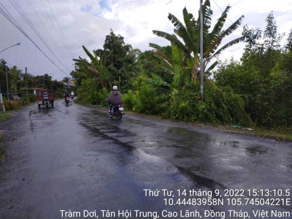 HCL66_Đoạn còn lại (xã Tân Hội Trung_ xã Mỹ Thọ) - Ảnh 3