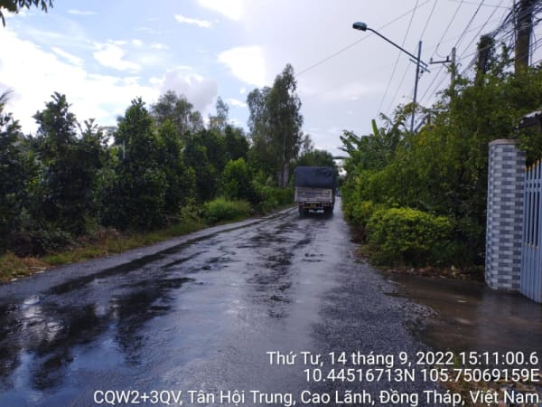HCL66_Đoạn còn lại (xã Tân Hội Trung_ xã Mỹ Thọ) - Ảnh 4