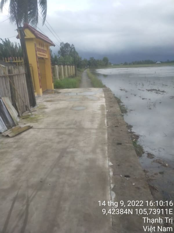 TT46 - 	Hẻm 11 - Ảnh 3