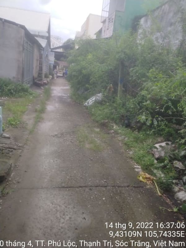 TT49 - Đường số 2 - Ảnh 2