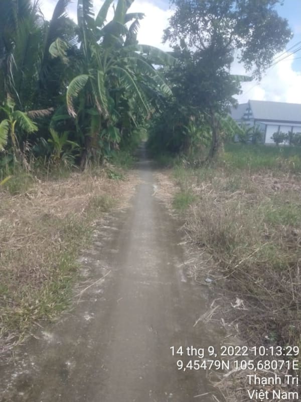 TT138 - Lộ đal Mây Dóc - Ảnh 4