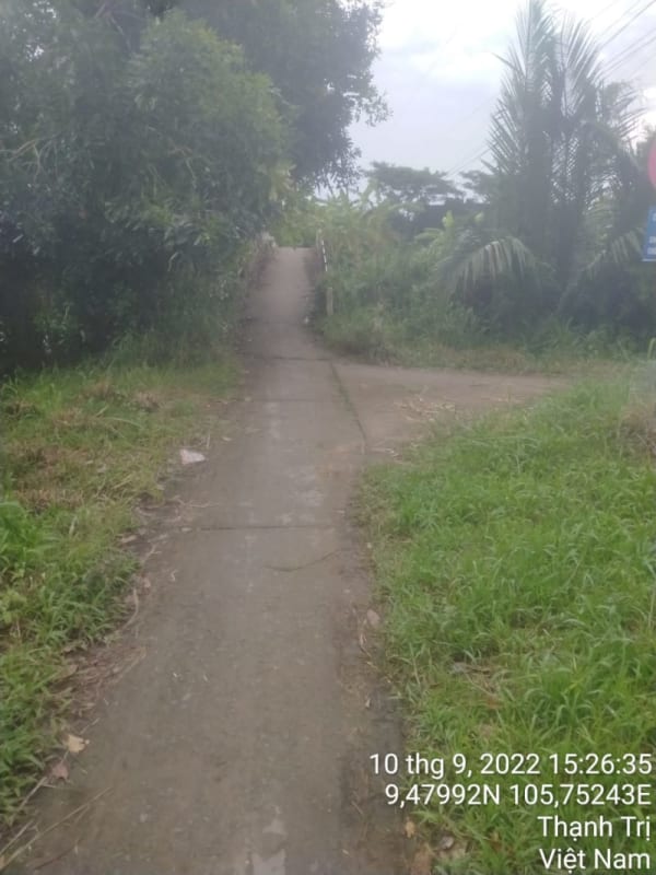TT156 - Lộ ấp Trung Hòa - Ảnh 3