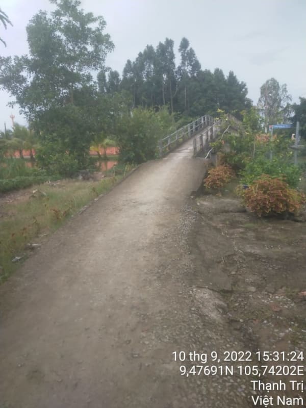 TT157 - Lộ ấp Trung Hòa - Ảnh 3
