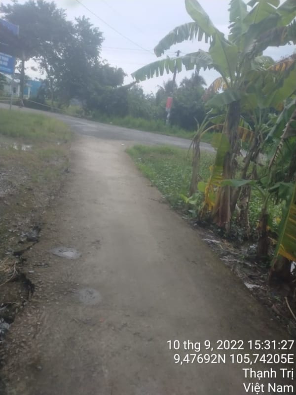 TT157 - Lộ ấp Trung Hòa - Ảnh 4