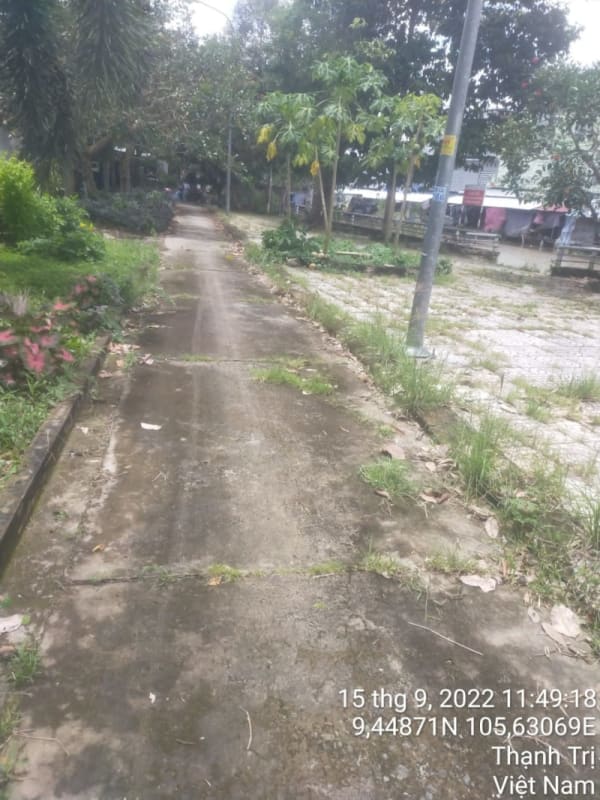TT168 -  Khu Chợ - Ảnh 3
