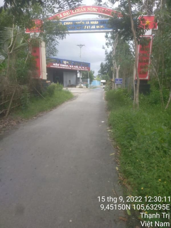 TT169 - 	Đường Huyện 61 (Huyện lộ 5 cũ) - Ảnh 3
