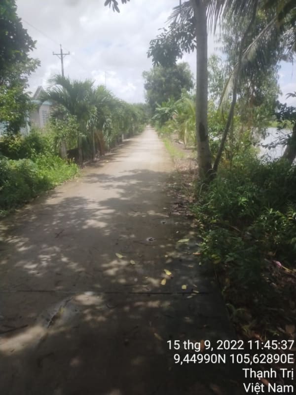 TT177 - Lộ đal Ấp 15 - Ảnh 4