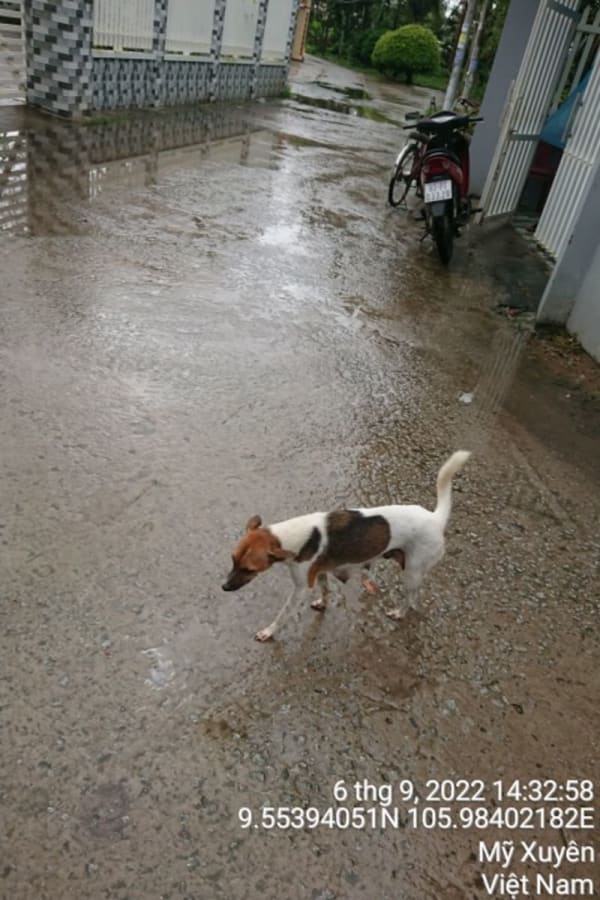 MX42	Đường thầy Cùi	từ 	Suốt đường - Ảnh 4
