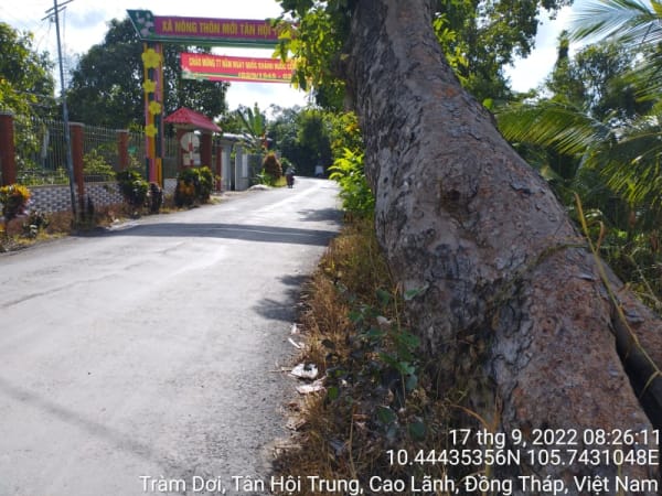 HCL84_Lộ Mương Khai_ cầu Ngã Bát - Ảnh 2