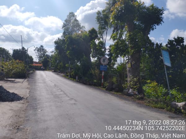 HCL84_Lộ Mương Khai_ cầu Ngã Bát - Ảnh 4