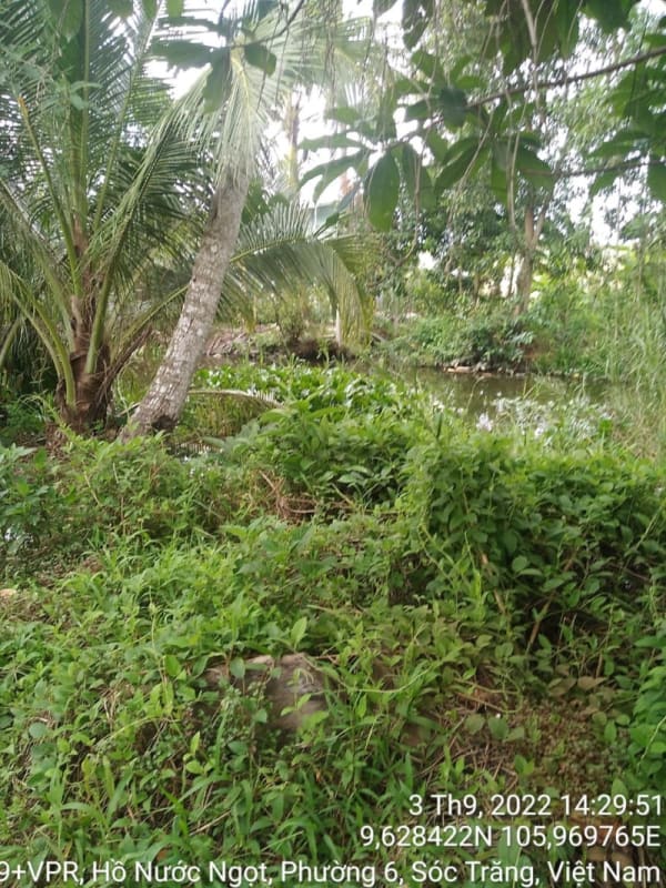 ST760	Lộ kênh Trường Thọ - Ảnh 3
