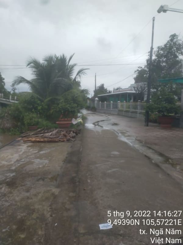 NN90 -Lộ kinh Huỳnh Yến	1 - Ảnh 1