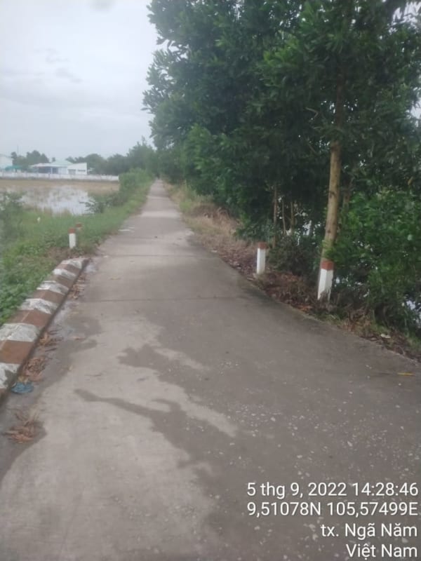 NN97 - Kênh Tuấn Hớn - Ảnh 1