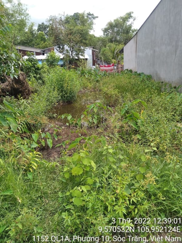 ST263	Hẻm nhánh 1225/30 (P10) - Ảnh 4