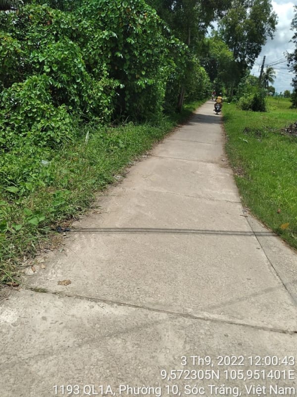 ST274	Hẻm 1132 (Ranh K2 - K3) - Ảnh 2