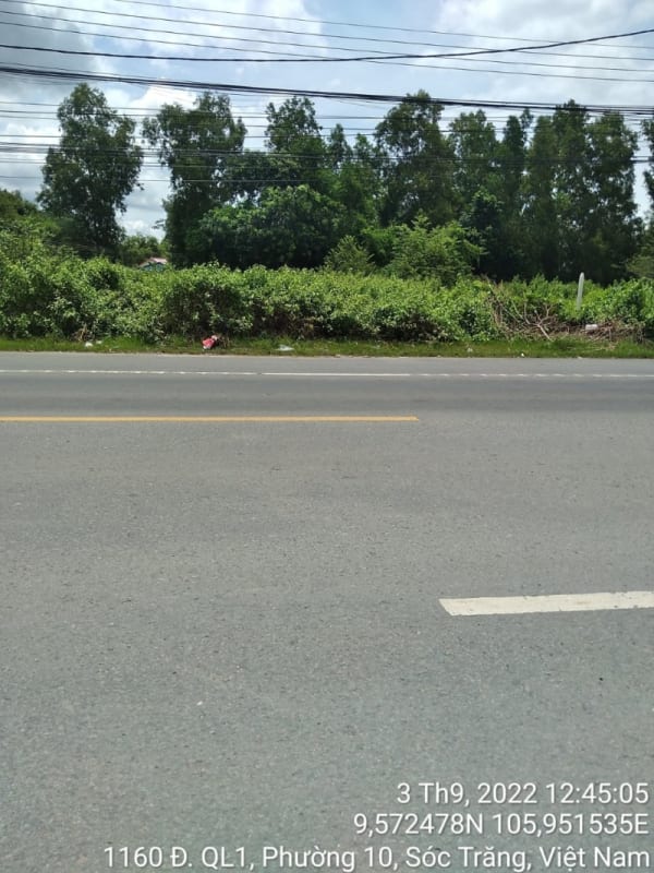 ST255	Hẻm 1185 (P10) - Ảnh 2