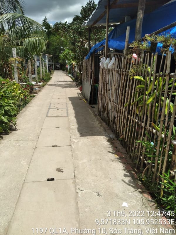 ST257	Hẻm nhánh 1185/16 (P10) - Ảnh 2