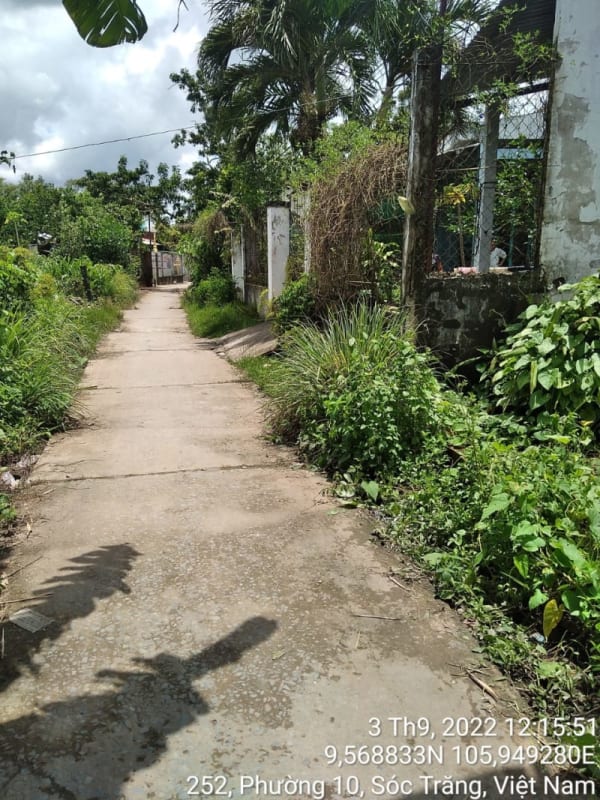 ST259	Hẻm nhánh 1194/22 (P10) - Ảnh 3
