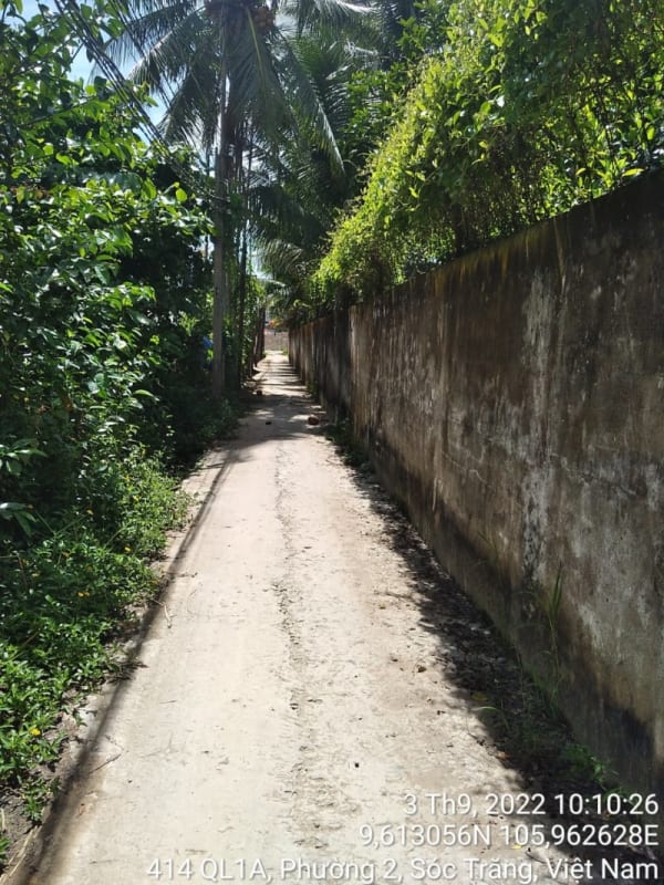 ST213	Hẻm 416 (P2) - Ảnh 3