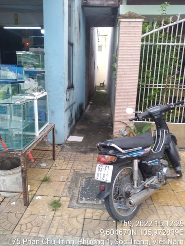ST19	Hẻm 59 - Ảnh 3