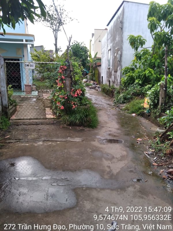 ST133	Hẻm 248 (P10) - Ảnh 3