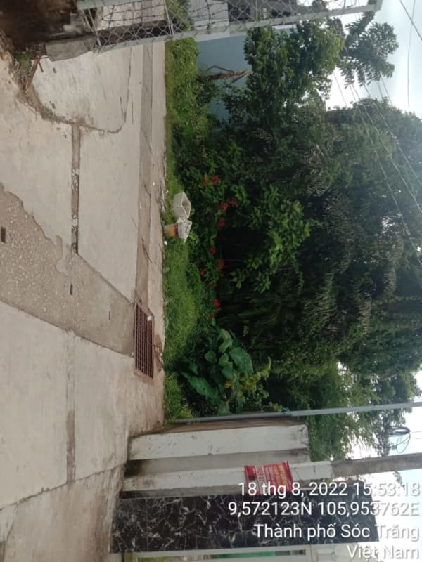 ST136	Hẻm 308 (P10) - Ảnh 2