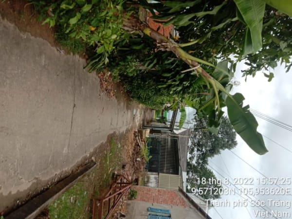 ST137	Hẻm 344 (P10) - Ảnh 1