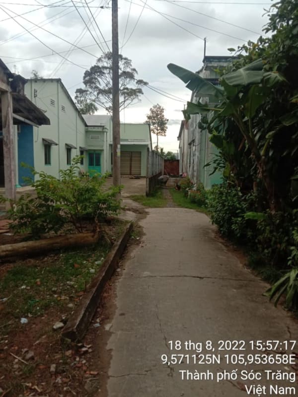 ST137	Hẻm 344 (P10) - Ảnh 2